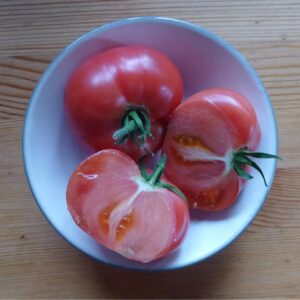 Beefsteak tomato in a bowl