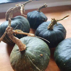 Buttercup winter squash