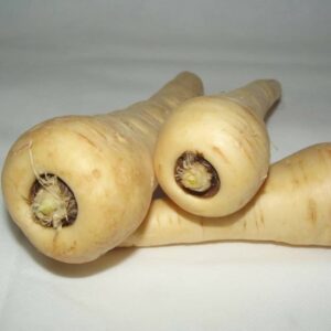 Parsnip 'White Gem' - Irish Seed