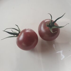 Black cherry tomatoes