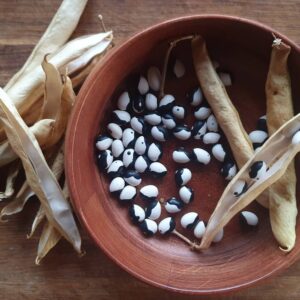 Orca Bean Seeds