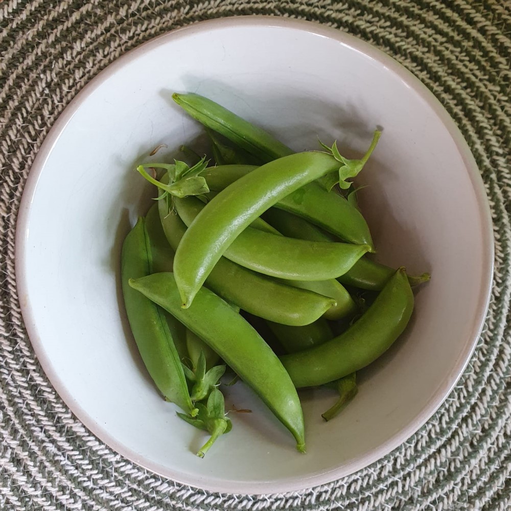bowl of sugar snap peas