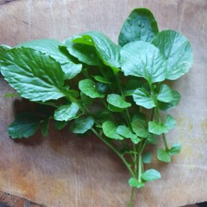 wintercress leaves