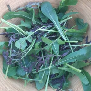 Bowl of Asian Salad Leaves