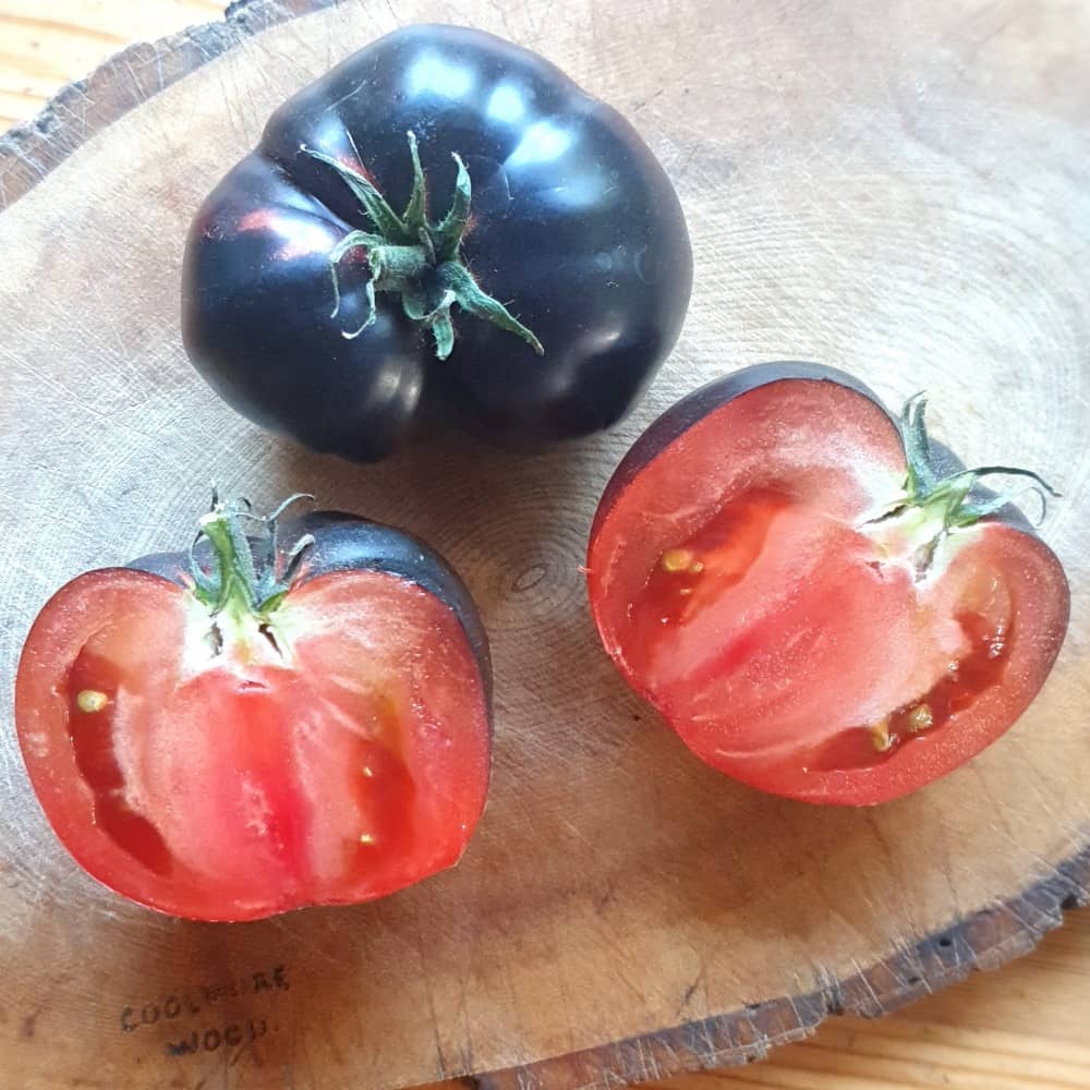 Black Skinned Tomato