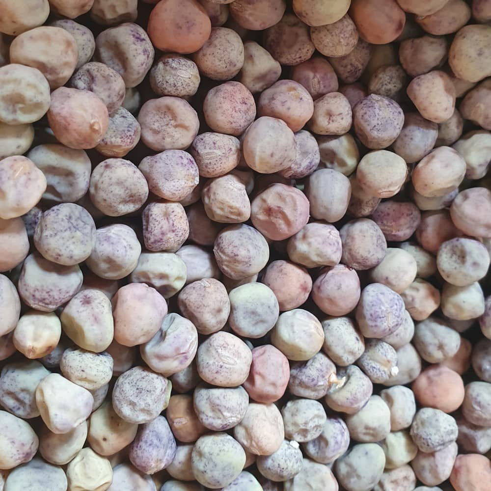 Mangetout Pea 'Green Beauty' - Irish Seed - Image 4