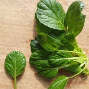 leaves of tatsoi
