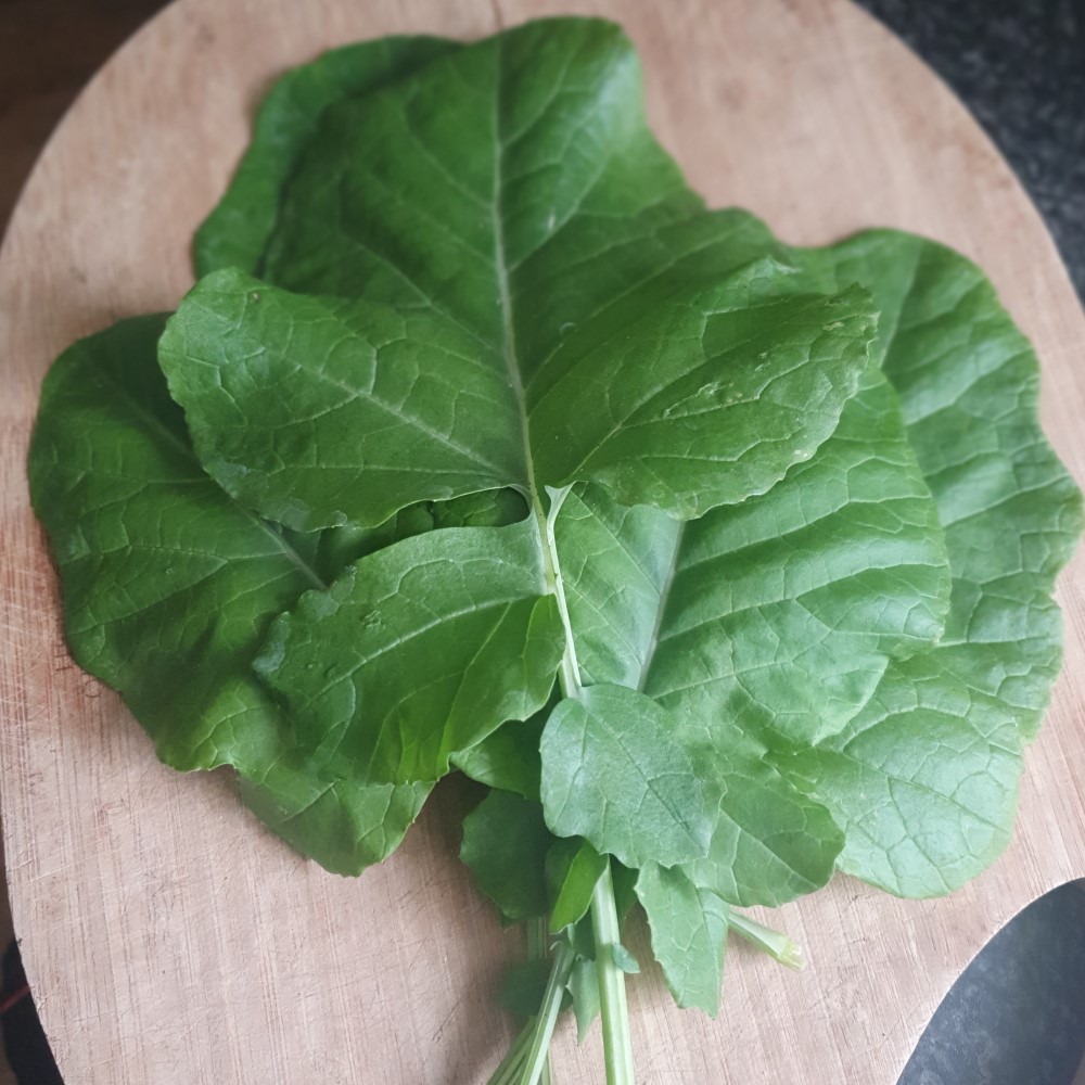 Leaves of Brassica carinata