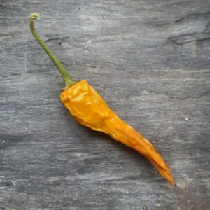 dried yellow chili pepper