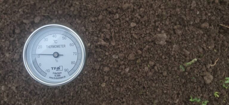analogue thermometer in soil