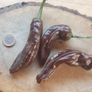 Berbere Chillies