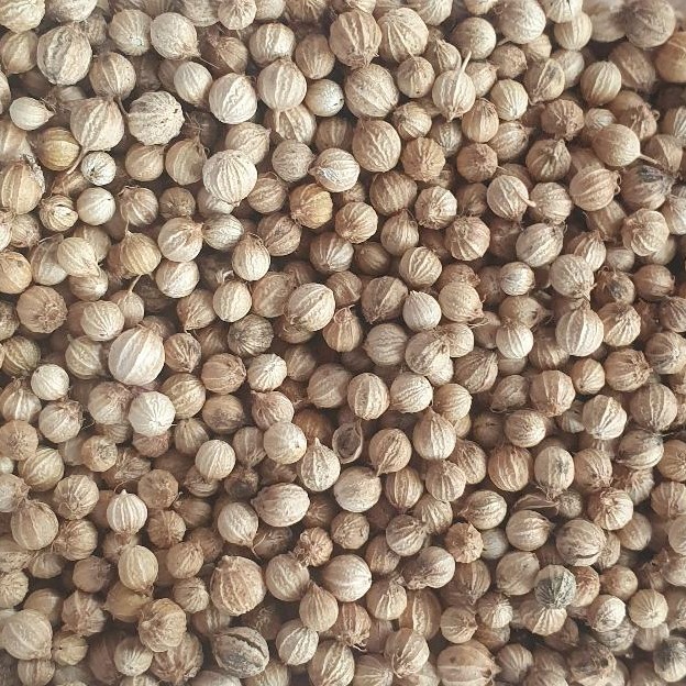 coriander seeds