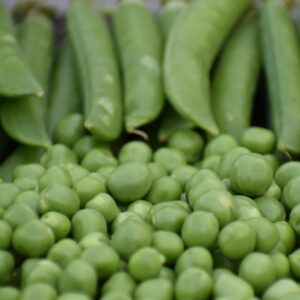 Podding Peas