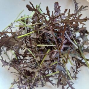 Frilly Red Mustard Leaves